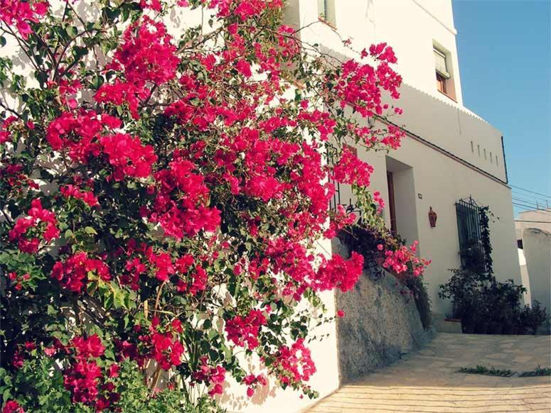 Apartament Jardines Del Mar Salobreña Zewnętrze zdjęcie